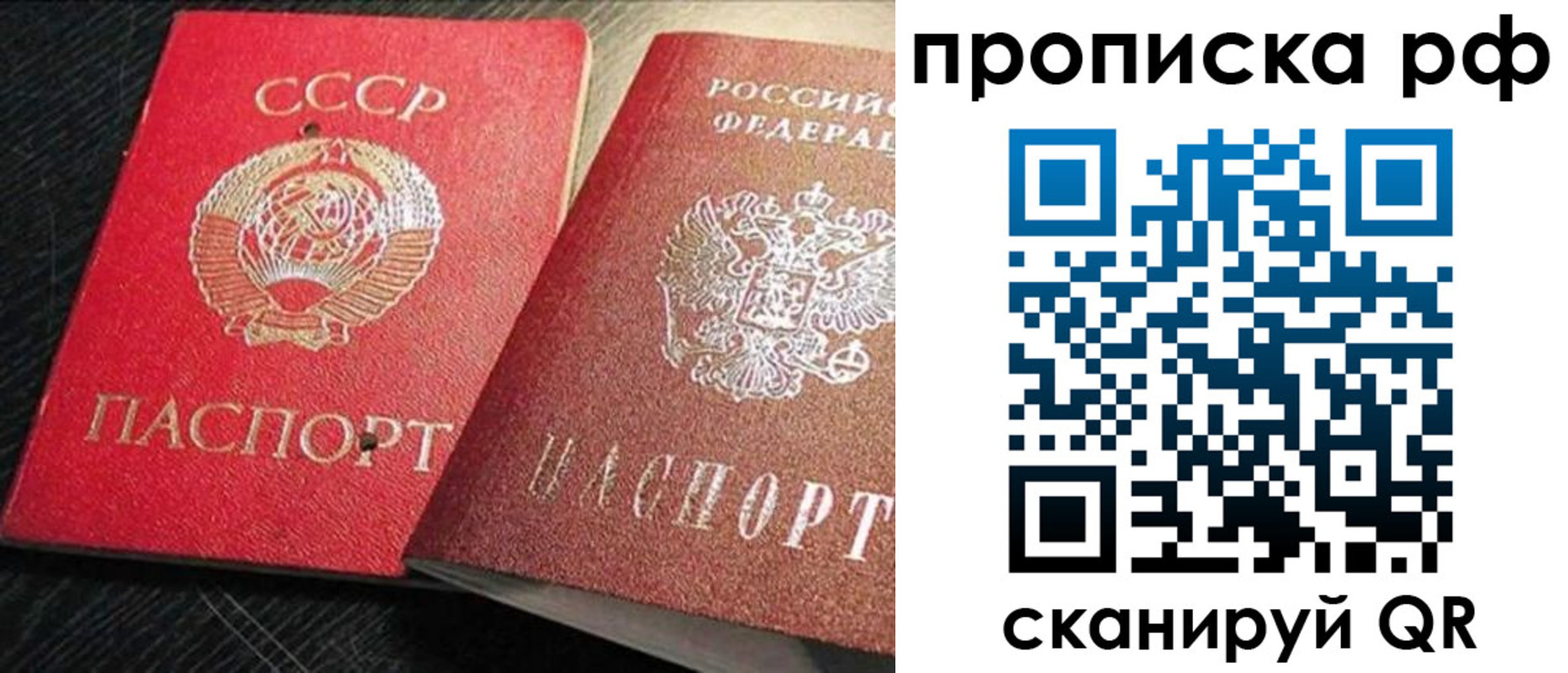 временная регистрация госуслуги в Ельне